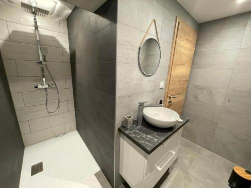 La salle de bains est pourvue d'un lavabo et d'une douche. dans l'établissement Gîte La perle d’Alsace, à Bernardswiller