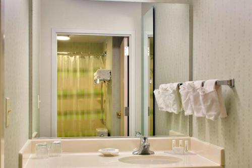 a bathroom with a sink and a large mirror at SpringHill Suites Philadelphia Plymouth Meeting in Plymouth Meeting