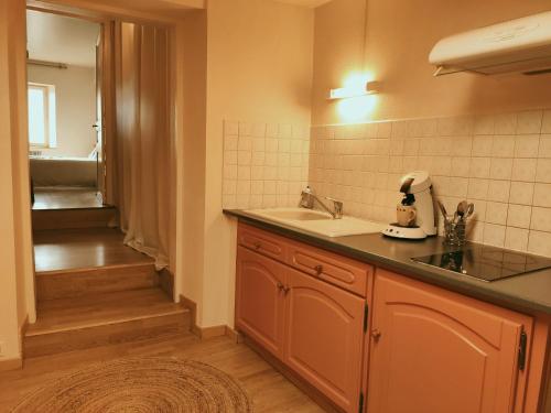 Il comprend une cuisine avec un évier et une salle de bains. dans l'établissement L'Abri - Focalimmo (centre Foix), à Foix