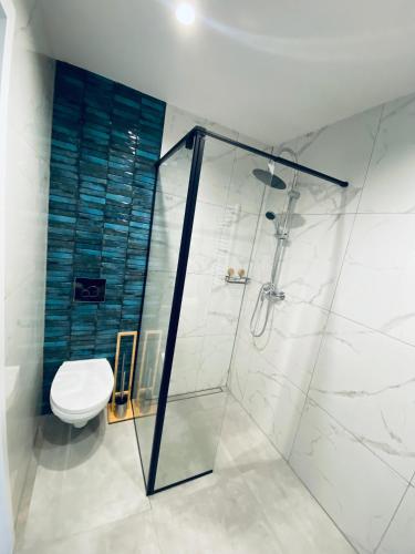 a bathroom with a shower and a toilet at Apartamenty Majka in Zator