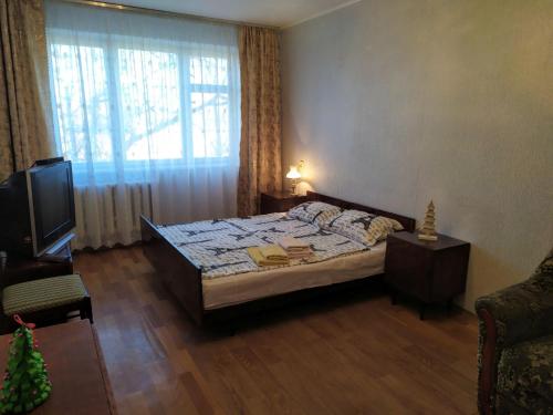 um quarto com uma cama, uma televisão e uma janela em Квартира біля залізничного вокзалу em Vinnytsya
