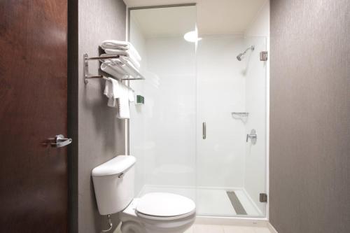 La salle de bains est pourvue de toilettes et d'une douche en verre. dans l'établissement SpringHill Suites by Marriott Savannah I-95 South, à Savannah
