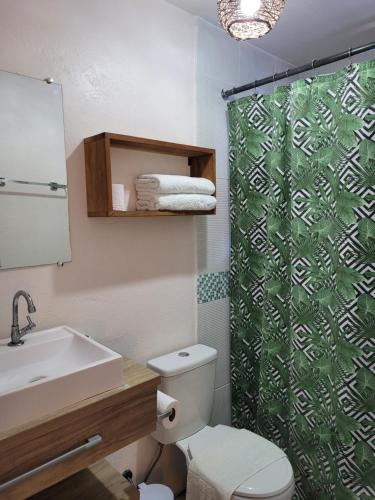 y baño con aseo y cortina de ducha. en Casa Beija-flor, en Isla de Boipeba