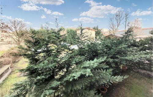 un groupe d'arbres de Noël dans une cour dans l'établissement Beautiful Apartment In Les Pavillons-Sous-Boi, à Les Pavillons-sous-Bois
