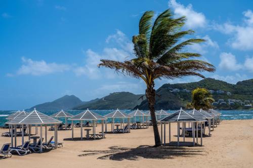a palm tree on a beach with chairs and umbrellas at Marriott St. Kitts Beach Club in Frigate Bay