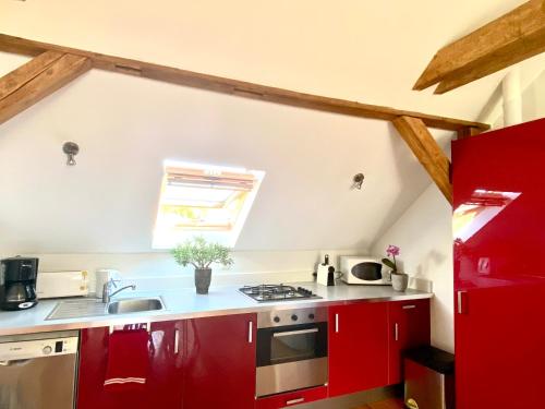 eine Küche mit roten Schränken und einem Herd mit Backofen in der Unterkunft L’appartement du Parc in Longeville-lès-Metz