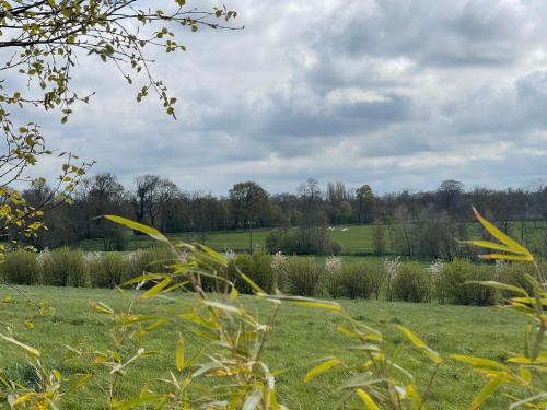 a field of grass with trees in the background at Maison de charme vue d'exception in Étreham