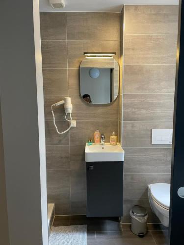 a bathroom with a sink and a mirror at Excellent house in Ediger-Eller