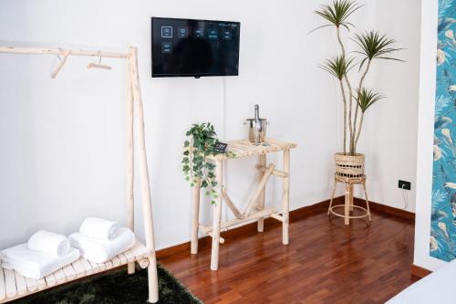 TV a/nebo společenská místnost v ubytování Il corso suite rooms