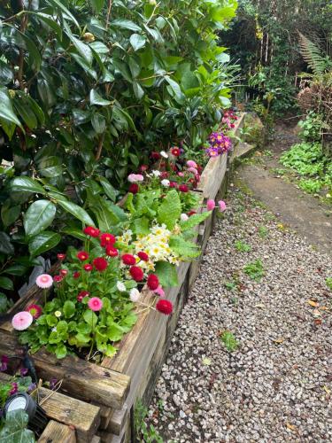 a garden with flowers in a wooden fence at Bumble Bee Cottage in Plymouth