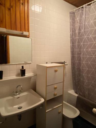 a bathroom with a sink and a toilet and a shower at Appartement chalets T2 50m2 in Publier