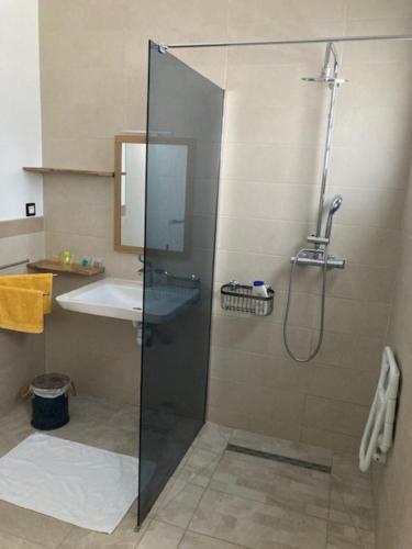 a bathroom with a shower and a sink at La bulle dans le sable in Étang-Salé