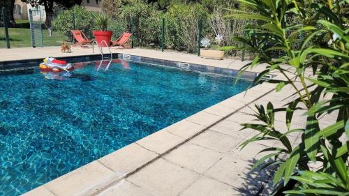 - une piscine avec un jouet dans l'eau dans l'établissement Bastide Sainte Marie, à Mallemort