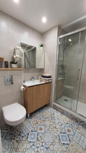 une salle de bain avec toilettes, lavabo et douche dans l'établissement Studio L'élégance Place de Jaude et garage, à Clermont-Ferrand