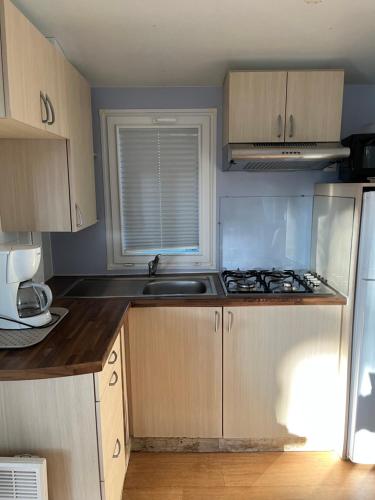 une cuisine avec un évier et une cuisinière four supérieur dans l'établissement Coeur de Vendee, à La Boissière-de-Montaigu