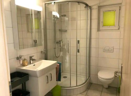 La salle de bains est pourvue d'une douche, d'un lavabo et de toilettes. dans l'établissement Studio à Courrendlin, à Courrendlin