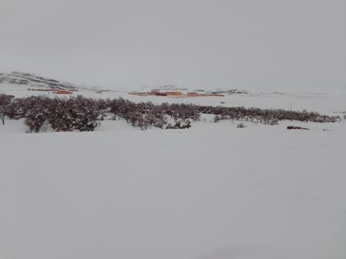 a snow covered field with trees in the distance at Chez L'habitant Brahim kanih in Anzel