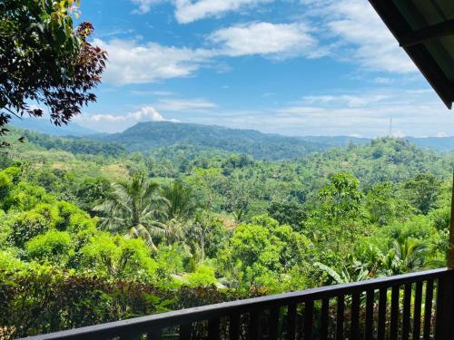 una vista sulla giungla dal balcone di una casa di Rainforest Nature House a Deniyaya