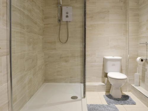 a bathroom with a shower and a toilet at Stable Cottage 6 - Ukc3745 in Bawdeswell