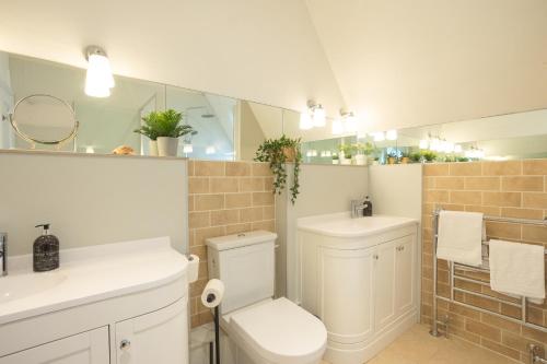 ein Badezimmer mit einem WC, einem Waschbecken und einem Spiegel in der Unterkunft Spacious 3BR Victorian Cheltenham loft flat in Cotswolds Sleeps 8 - FREE Parking in Cheltenham