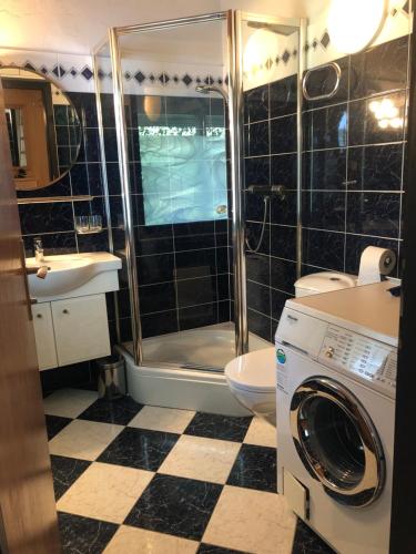 a bathroom with a washer and a toilet and a shower at Garden View Apartment in Breitenbrunn
