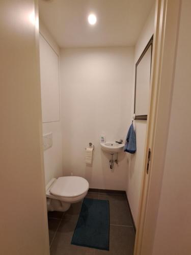 een kleine badkamer met een toilet en een wastafel bij Brusilia parc in Brussel