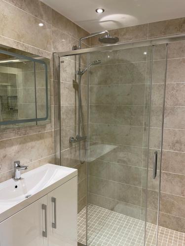 a bathroom with a shower and a sink at Apartment at Island Cottage, Inishnee, Roundstone in Galway