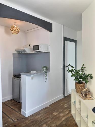 une cuisine avec un four micro-ondes au-dessus d'un comptoir dans l'établissement Quartier historique et populaire du château de Pau, à Pau