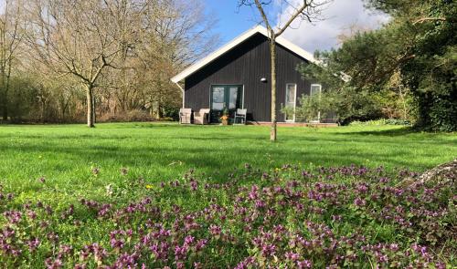 un campo de flores púrpuras delante de un granero en IJsselgoud, en Zwolle
