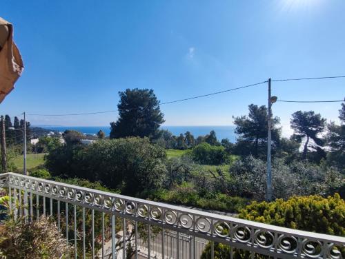 Duca's Home – Photos 3