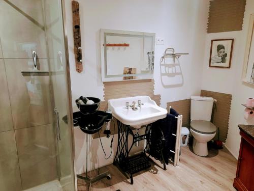 een badkamer met een wastafel, een douche en een toilet bij l atelier d alex in La Baule