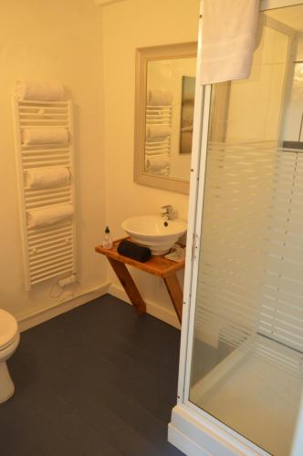 ラ・ストゥレーヌにあるLe Puy Robinのバスルーム(洗面台、トイレ、シャワー付)