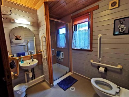 a bathroom with a toilet a sink and a shower at Glen Bay - 2 Bed Lodge on Friendly Farm Stay with Private Hot Tub in New Cumnock