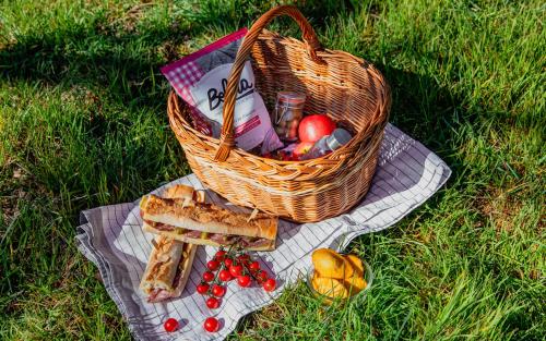 a basket of bread and fruit on a blanket on the grass at Clos Marcamps - Teritoria in Prignac-et-Marcamps