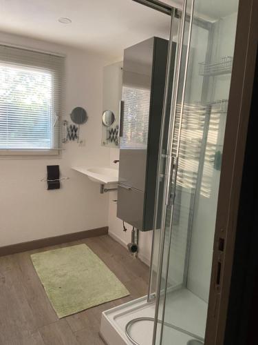 a bathroom with a shower and a sink at Residence Saint Thomas in Hillion
