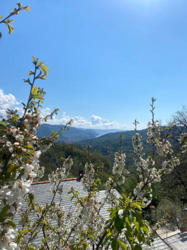 La Riviera Bed & Breakfast – Photos 3