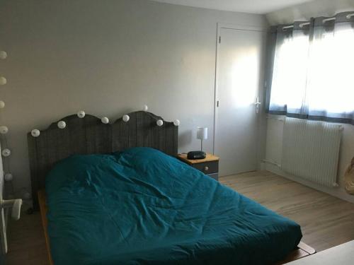 ein Schlafzimmer mit einem Bett mit einer grünen Decke in der Unterkunft La maison du Lhéris in Bagnères-de-Bigorre