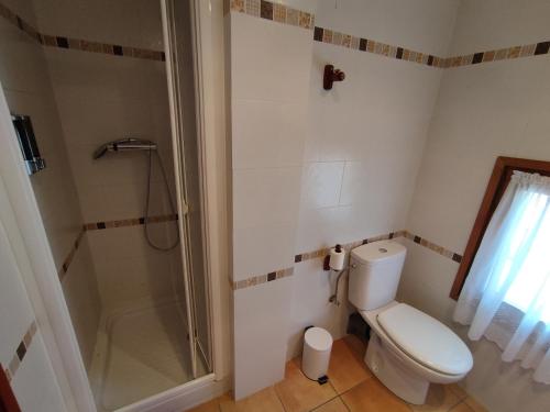 a bathroom with a toilet and a shower at Apartamento de la Marmota Cerler in Cerler