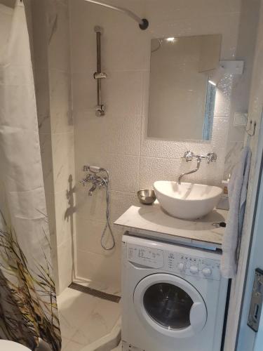 Bany a Chicago Studio Apartment