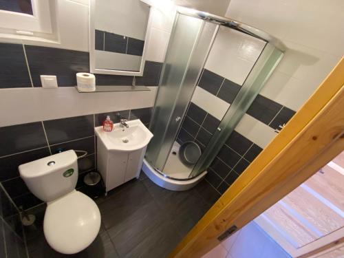 a small bathroom with a toilet and a shower at Domki letniskowe Na Stoku in Władysławowo