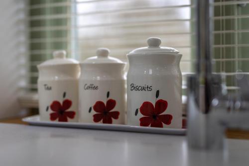 zwei Milchcontainer mit Blumen auf dem Tresen in der Unterkunft The Woodland Retreat Pembrokeshire Dog-friendly in Haverfordwest