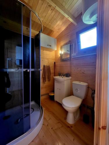 a wooden bathroom with a toilet and a shower at Domki na Górce in Wądzyn