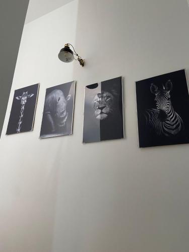a group of pictures on a white wall at Las Casas de Lola in Candeleda