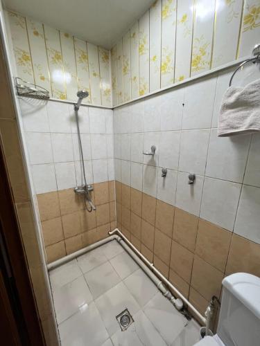 a bathroom with a shower and a toilet at Iso Hostel in Tashkent