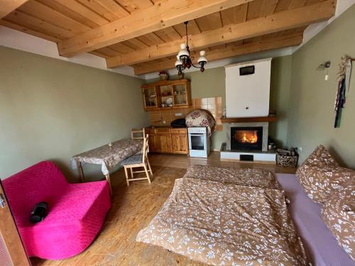 ein Wohnzimmer mit einem rosa Sofa und einem Kamin in der Unterkunft Chata Aurelia in Nová Baňa