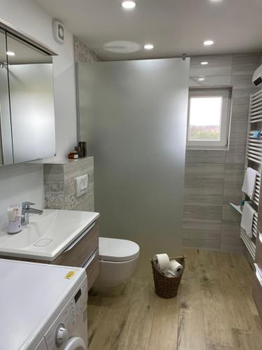 a white bathroom with a toilet and a sink at Apartma Luka in Ptuj