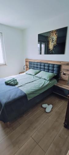 Apartment Franko