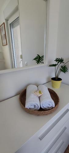 Apartment Franko