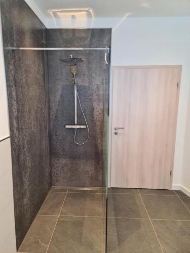 a shower with a glass door in a bathroom at Suite Crissie in Bernburg