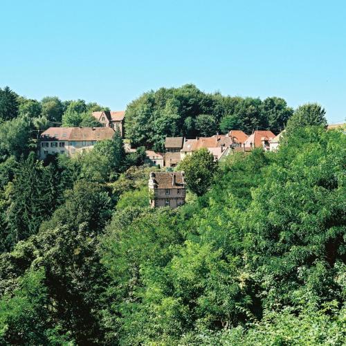 a group of houses on a hill with trees at La Clairière bio & spahotel in La Petite-Pierre